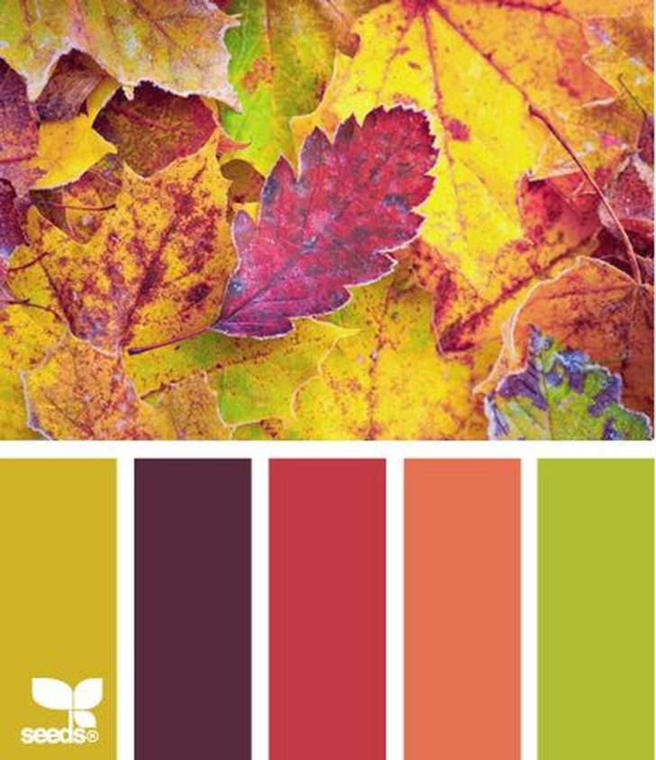 Cozy Autumnal Colour Scheme