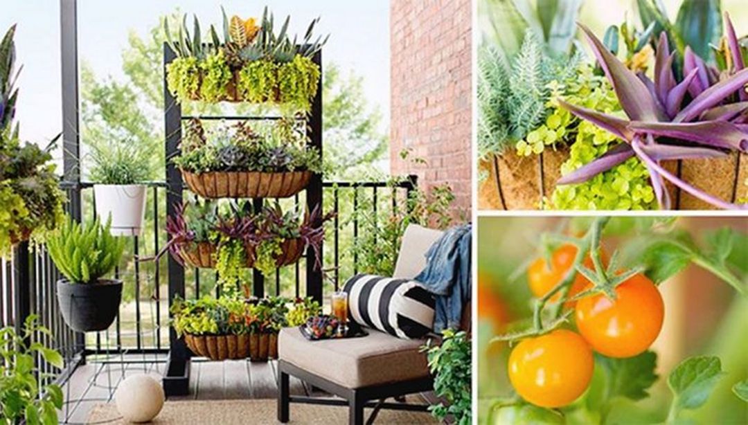 Small-Space Balcony Garden Ideas