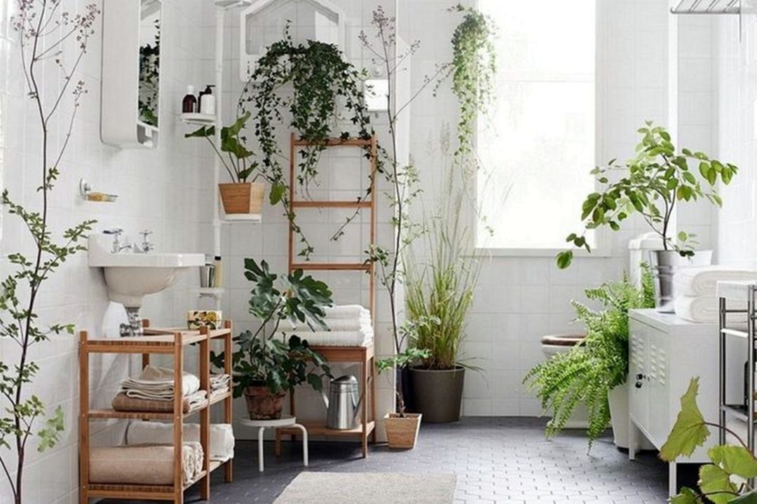 Beautiful Indoor Bathroom Plants