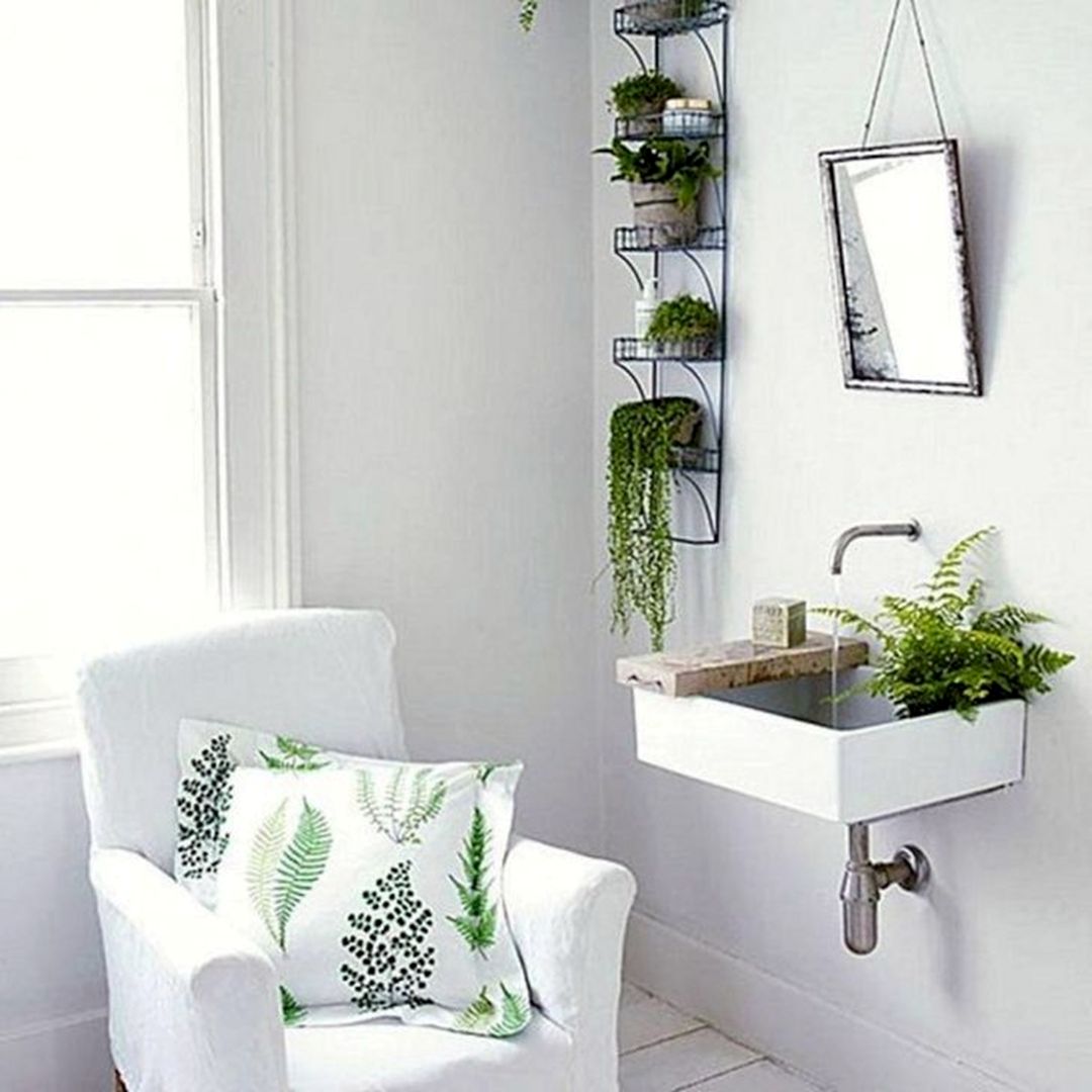 Incredible Indoor Bathroom Plants