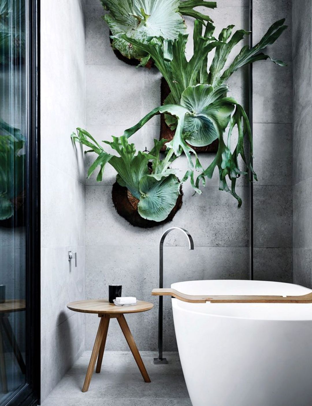 Indoor Plants Bathroom Design