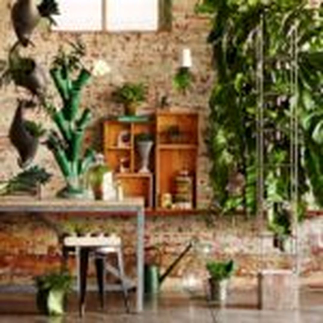 Industrial Indoor Garden Ideas