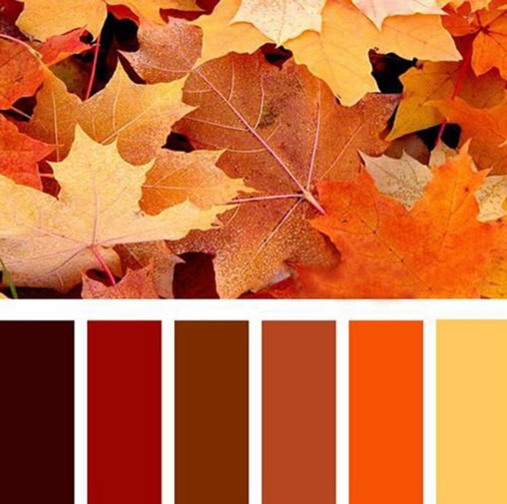 Amazing Autumn Color Inspiration