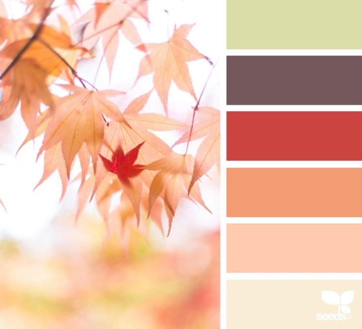 Autumn Color Palette Ideas
