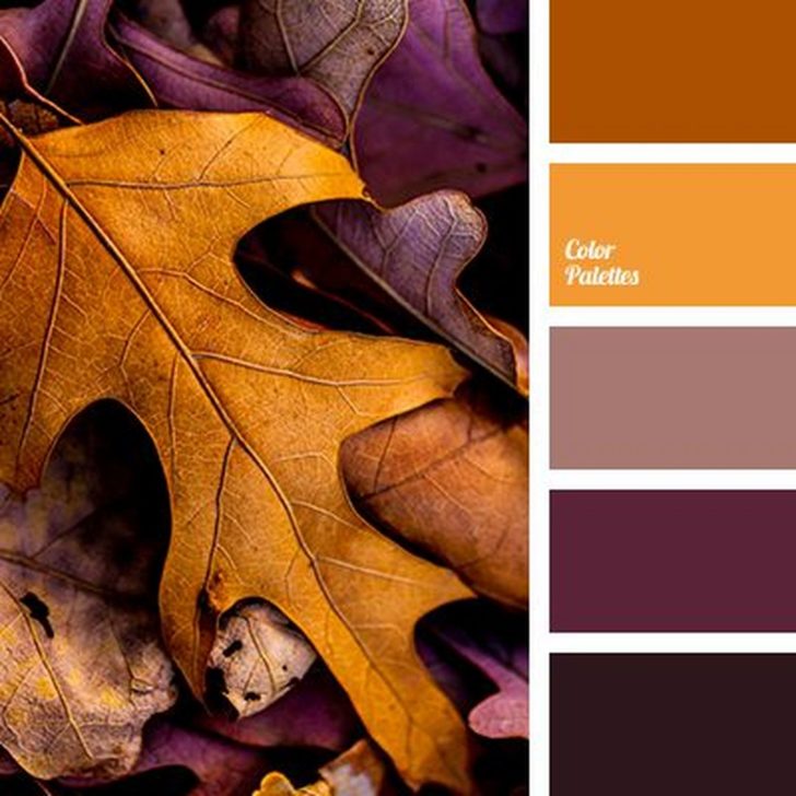 Beautiful Fall Color Palette Ideas