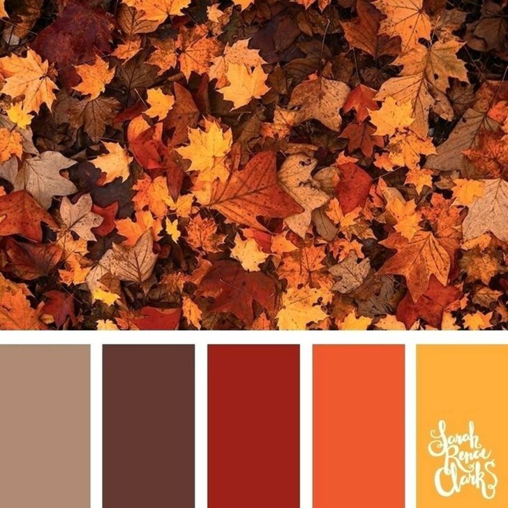 Charming Fall Color Palette 2019