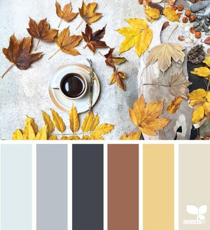 Fall Color Scheme Ideas