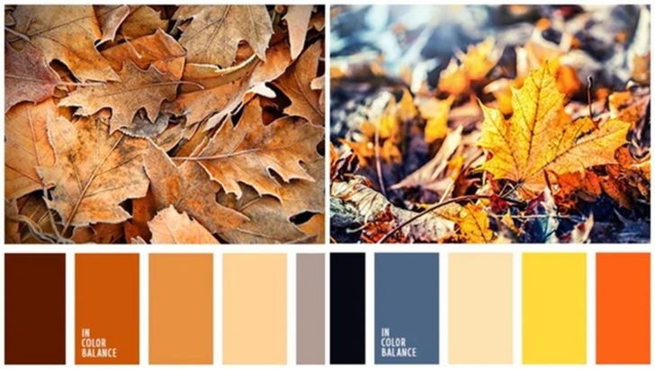 Lovely Autumn Color Palette
