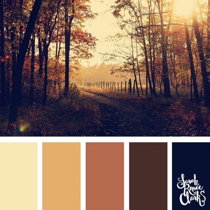 Nice Autumn Color Palette Ideas