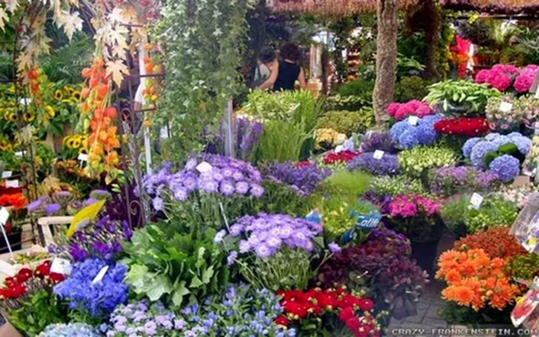 Beautiful Flower Garden Ideas