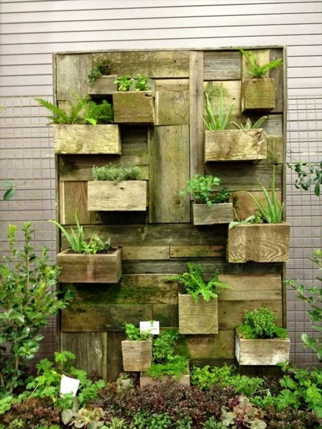 DIY Vertical Garden Planter Wall