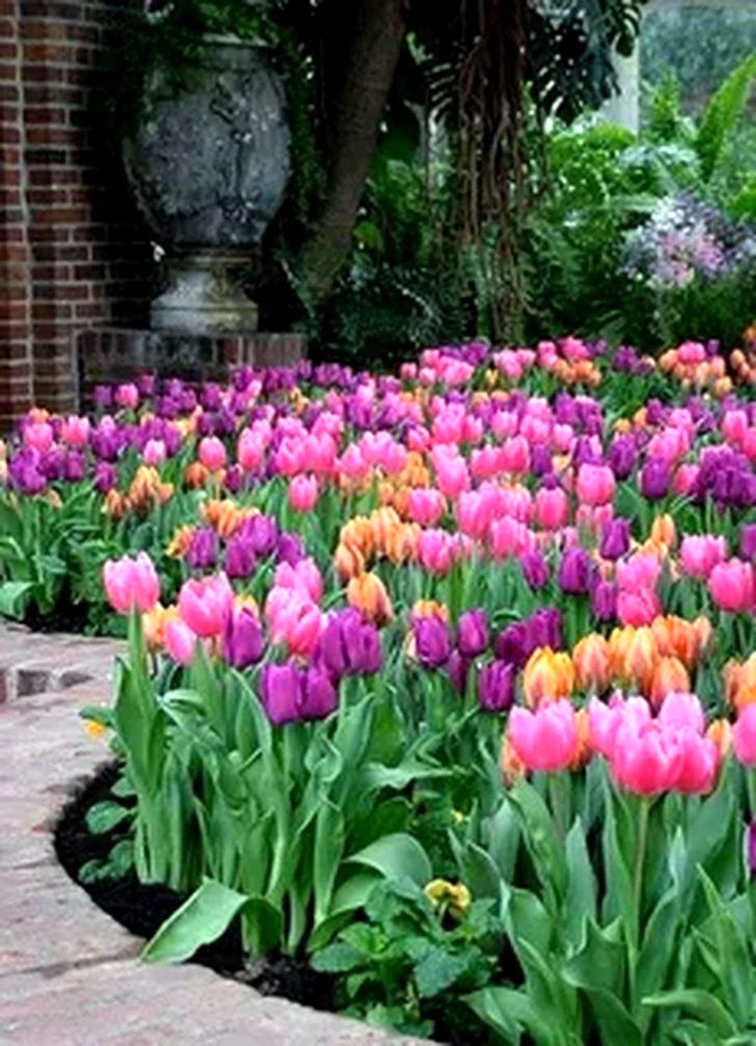 Wonderful Tulips Arrangement