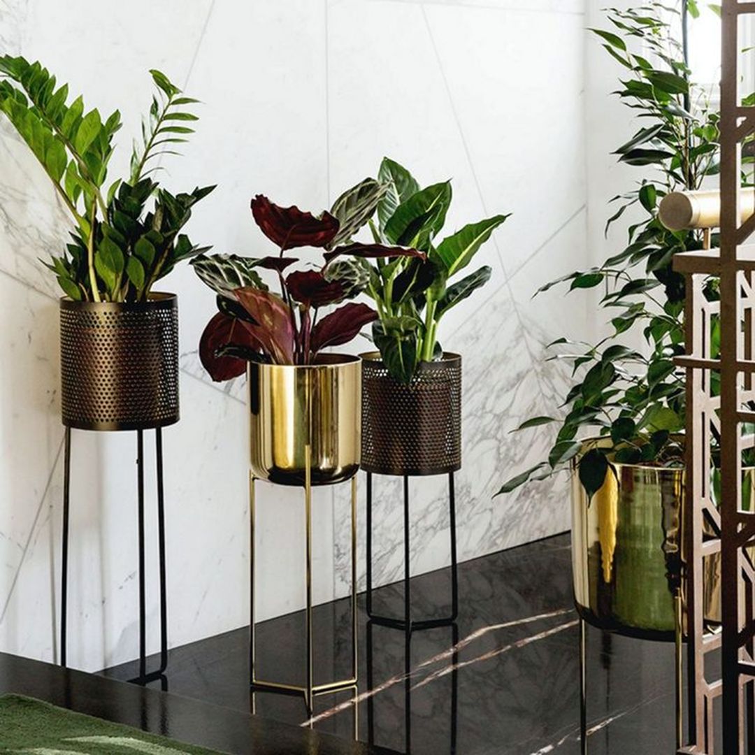 Conceptual Indoor Planter Ideas With Iron Pot Ideas